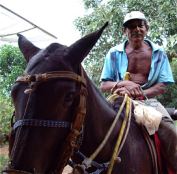 Een Braziliaanse John Wayne